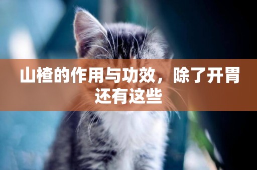 山楂的作用與功效，除了開胃還有這些