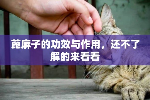 蓖麻子的功效與作用，還不了解的來看看