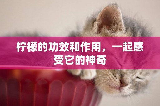 檸檬的功效和作用，一起感受它的神奇