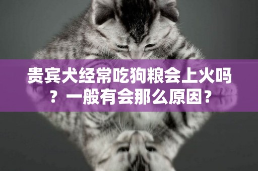 貴賓犬經常吃狗糧會上火嗎？一般有會那么原因？