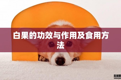 白果的功效與作用及食用方法
