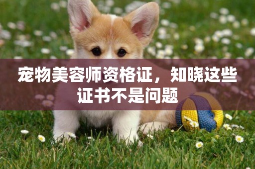 寵物美容師資格證，知曉這些證書不是問題