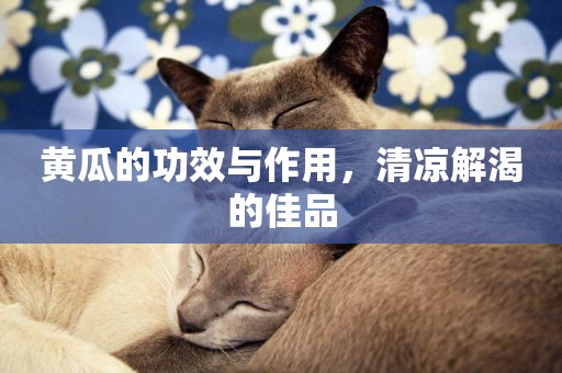 黃瓜的功效與作用，清涼解渴的佳品