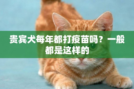 貴賓犬每年都打疫苗嗎？一般都是這樣的
