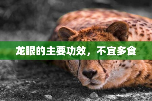 龍眼的主要功效，不宜多食