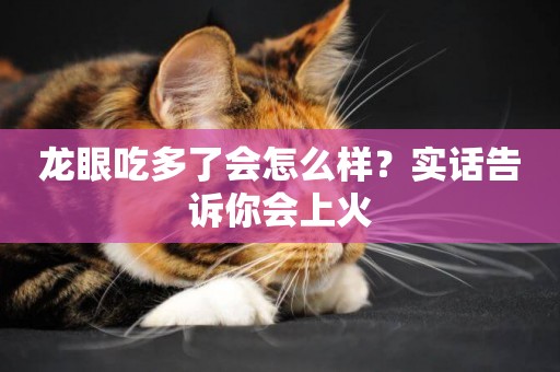 龍眼吃多了會怎么樣？實話告訴你會上火