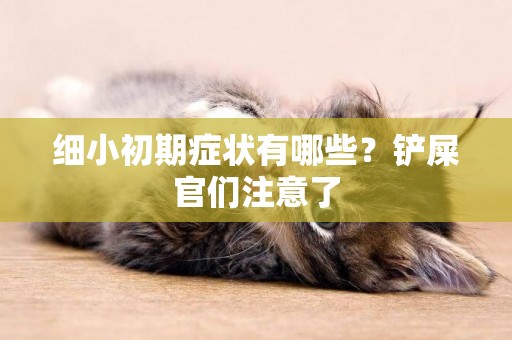 細小初期癥狀有哪些？鏟屎官們注意了