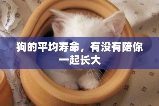 狗的平均壽命，有沒有陪你一起長大