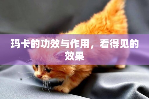 瑪卡的功效與作用，看得見的效果