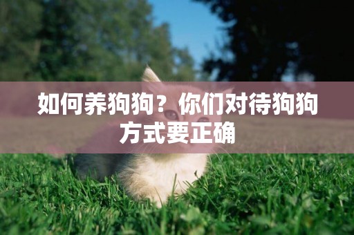 如何養狗狗？你們對待狗狗方式要正確