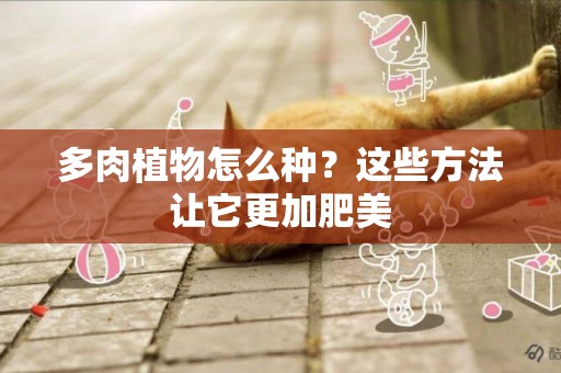 多肉植物怎么種？這些方法讓它更加肥美