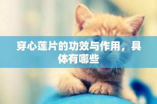 穿心蓮片的功效與作用，具體有哪些