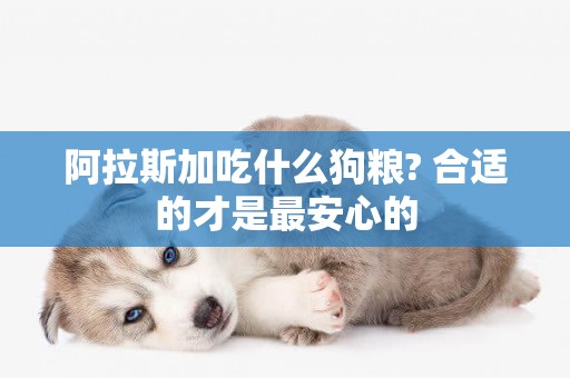 阿拉斯加吃什么狗糧? 合適的才是最安心的