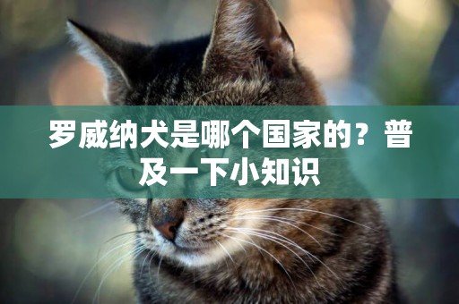羅威納犬是哪個國家的？普及一下小知識