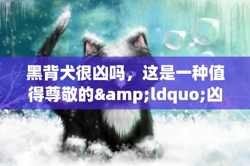 黑背犬很兇嗎，這是一種值得尊敬的&ldquo;兇&rdquo;
