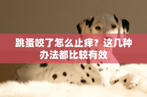 跳蚤咬了怎么止癢？這幾種辦法都比較有效