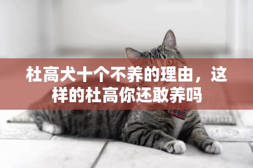 杜高犬十個不養的理由，這樣的杜高你還敢養嗎