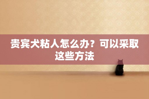 貴賓犬粘人怎么辦？可以采取這些方法