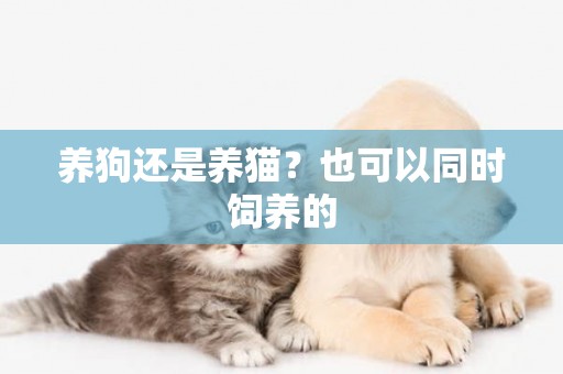 養狗還是養貓？也可以同時飼養的