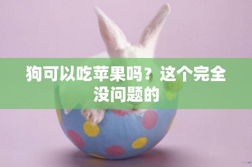 狗可以吃蘋果嗎？這個完全沒問題的