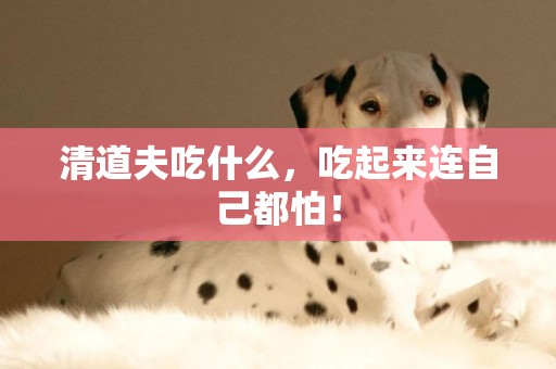 清道夫吃什么，吃起來連自己都怕！