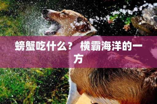 螃蟹吃什么？ 橫霸海洋的一方