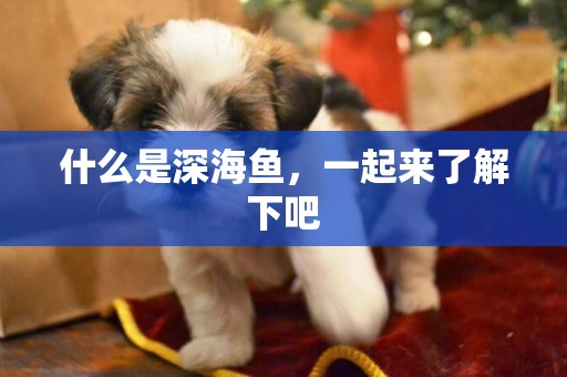 什么是深海魚，一起來了解下吧