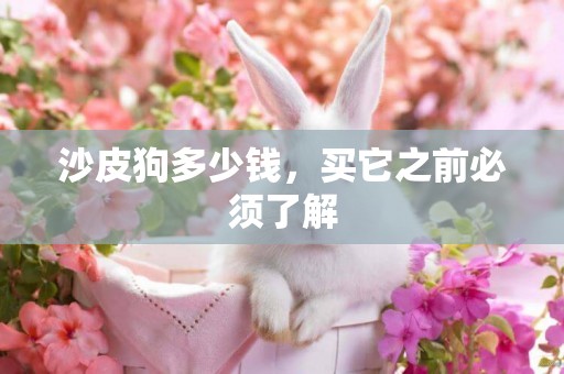 沙皮狗多少錢，買它之前必須了解
