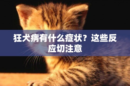 狂犬病有什么癥狀？這些反應切注意