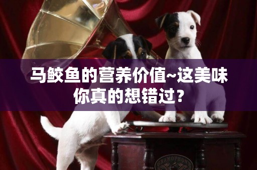馬鮫魚的營養價值~這美味你真的想錯過？