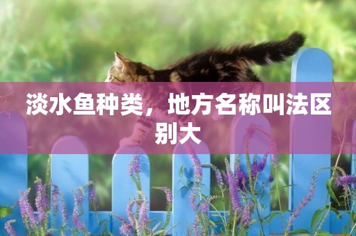 淡水魚種類，地方名稱叫法區別大