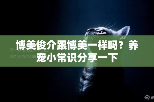 博美俊介跟博美一樣嗎？養寵小常識分享一下