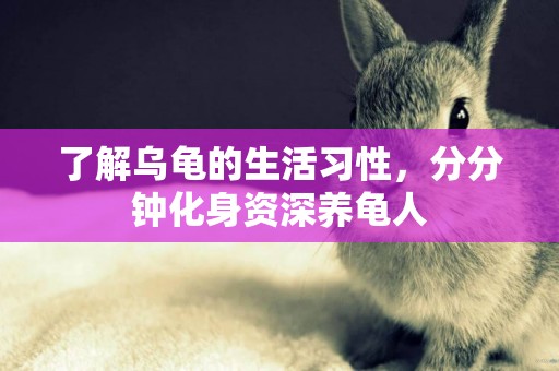 了解烏龜的生活習性，分分鐘化身資深養龜人