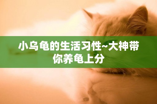 小烏龜的生活習性~大神帶你養龜上分
