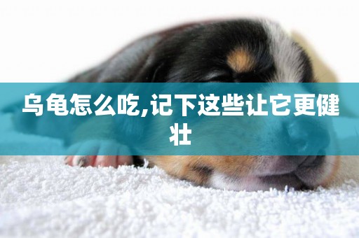 烏龜怎么吃,記下這些讓它更健壯