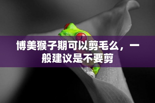 博美猴子期可以剪毛么，一般建議是不要剪