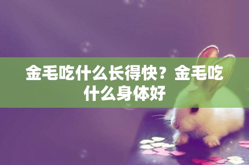 金毛吃什么長得快？金毛吃什么身體好