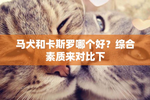馬犬和卡斯羅哪個好？綜合素質來對比下