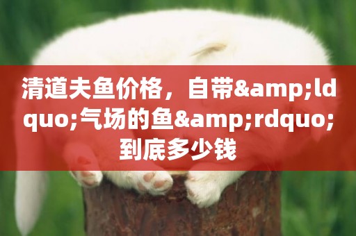 清道夫魚價格，自帶&ldquo;氣場的魚&rdquo;到底多少錢