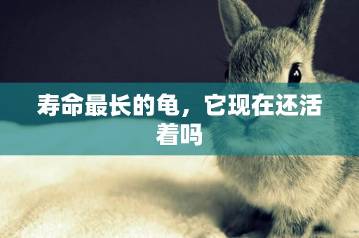 壽命最長的龜，它現在還活著嗎