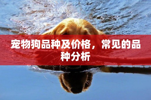 寵物狗品種及價格，常見的品種分析