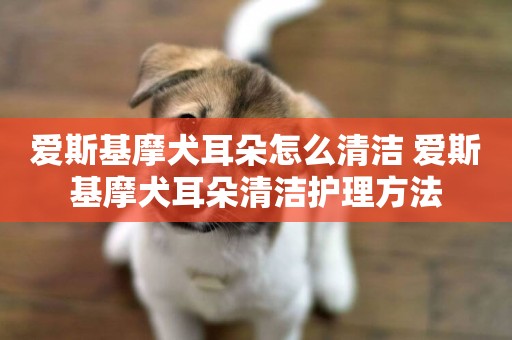 愛斯基摩犬耳朵怎么清潔 愛斯基摩犬耳朵清潔護理方法