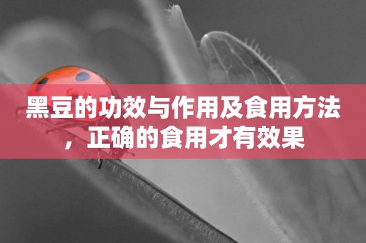 黑豆的功效與作用及食用方法，正確的食用才有效果