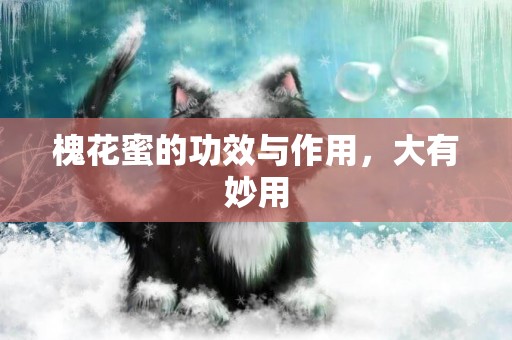 槐花蜜的功效與作用，大有妙用