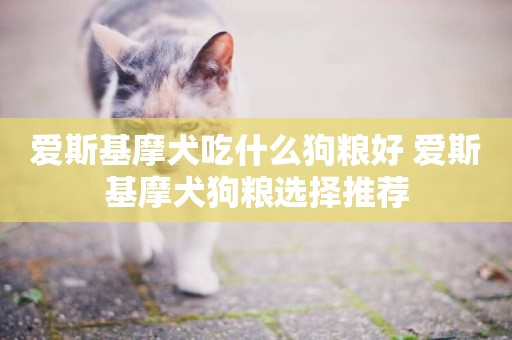 愛斯基摩犬吃什么狗糧好 愛斯基摩犬狗糧選擇推薦