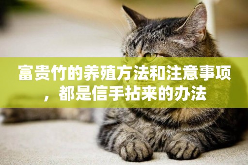 富貴竹的養殖方法和注意事項，都是信手拈來的辦法
