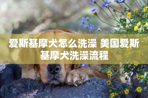 愛斯基摩犬怎么洗澡 美國愛斯基摩犬洗澡流程