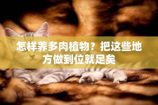 怎樣養多肉植物？把這些地方做到位就足矣