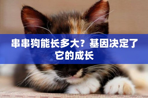 串串狗能長多大？基因決定了它的成長