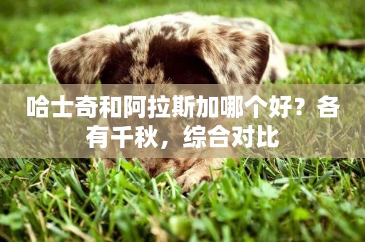 哈士奇和阿拉斯加哪個好？各有千秋，綜合對比